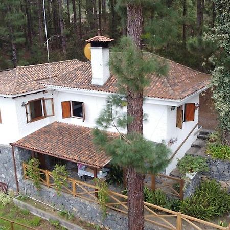 Floral Garden House Villa Icod De Los Vinos Luaran gambar