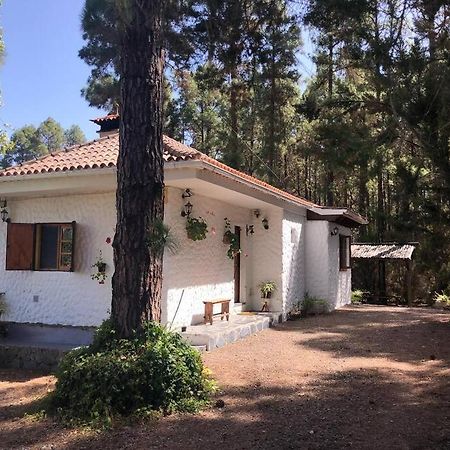 Floral Garden House Villa Icod De Los Vinos Luaran gambar