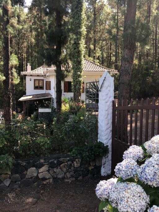 Floral Garden House Villa Icod De Los Vinos Luaran gambar