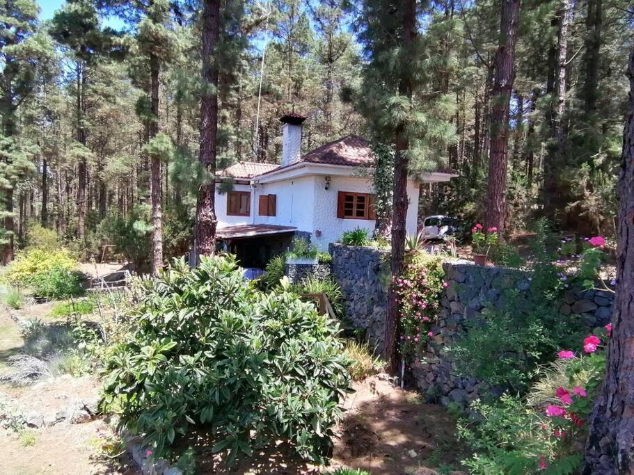 Floral Garden House Villa Icod De Los Vinos Luaran gambar