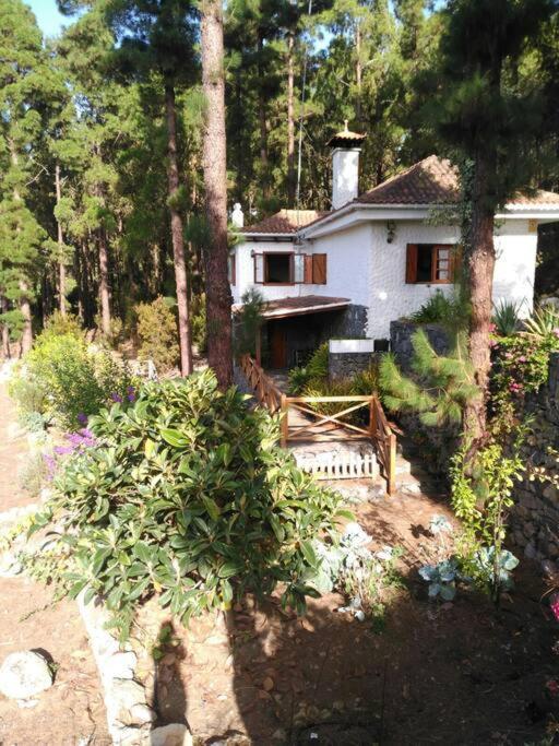Floral Garden House Villa Icod De Los Vinos Luaran gambar