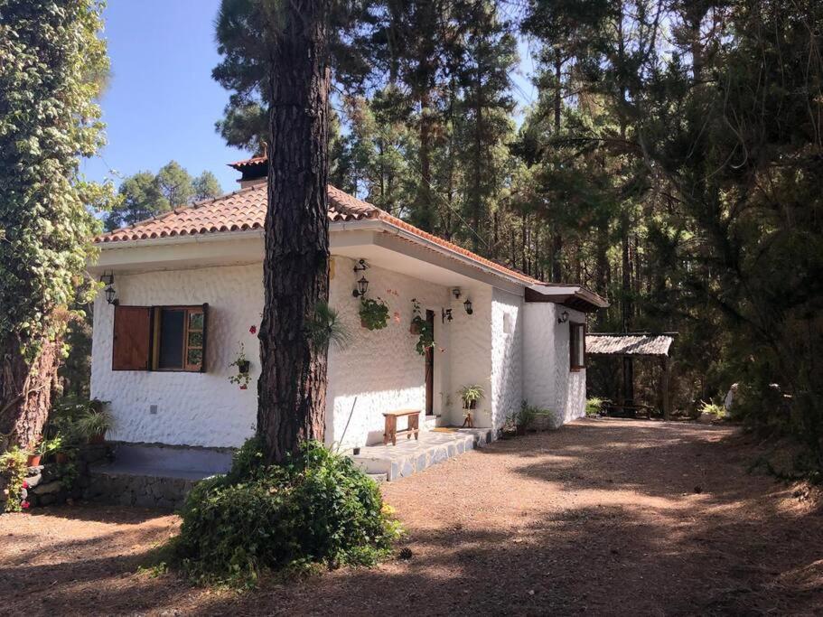 Floral Garden House Villa Icod De Los Vinos Luaran gambar